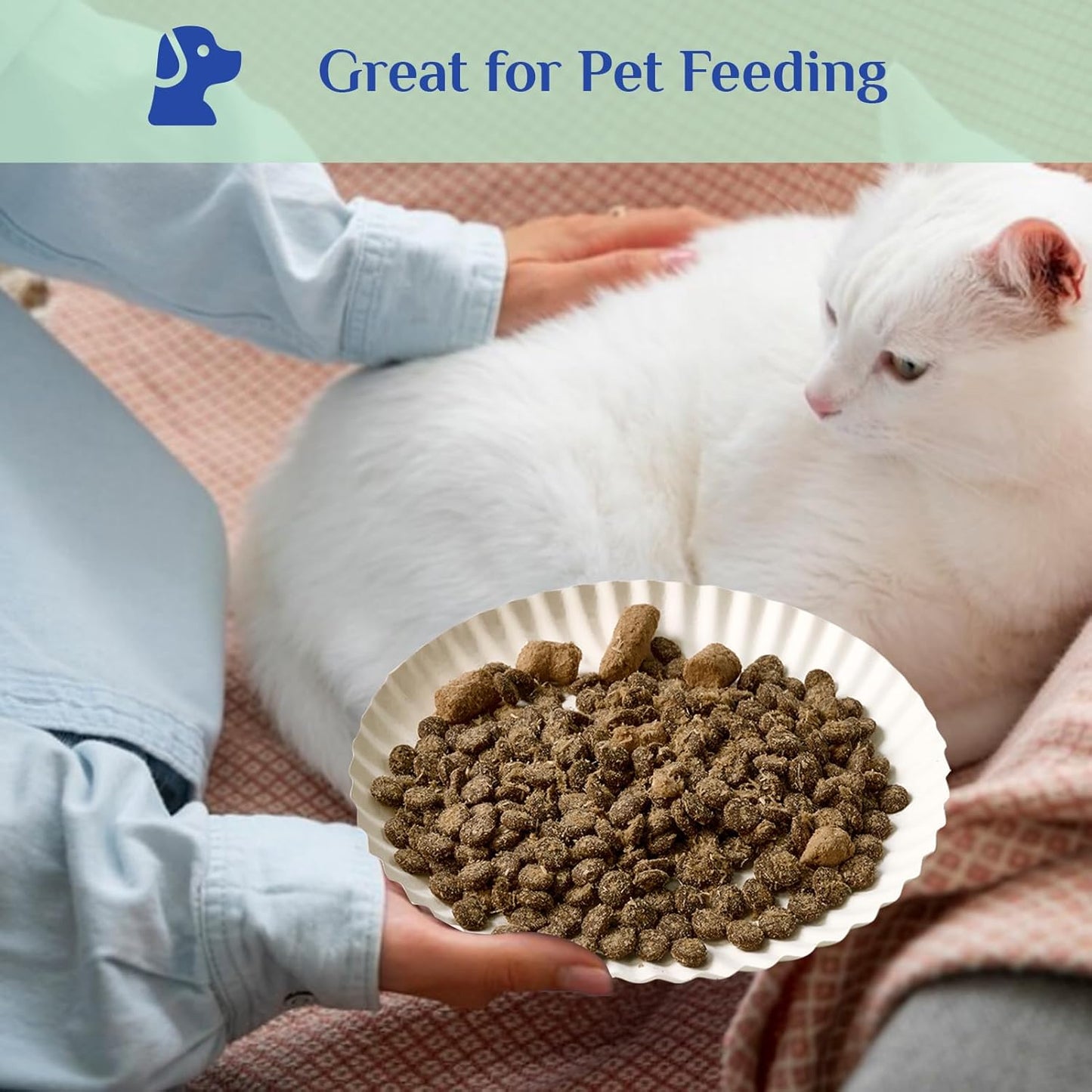 MUCHII 300 Count 9 Inch Paper Plates, Disposable Dinner Plates Bulk, White Plate Uncoated for Parties, Catering, Picnics, and DIY