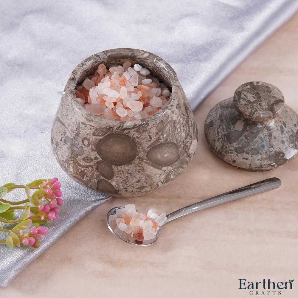 Marble Salt Cellar With Lid and Spoon 3" Inches Oceanic Salt Box, Natural Stone Salt Holder for Kitchen Counter Salt Container Sugar, Salt & Pepper Bowls