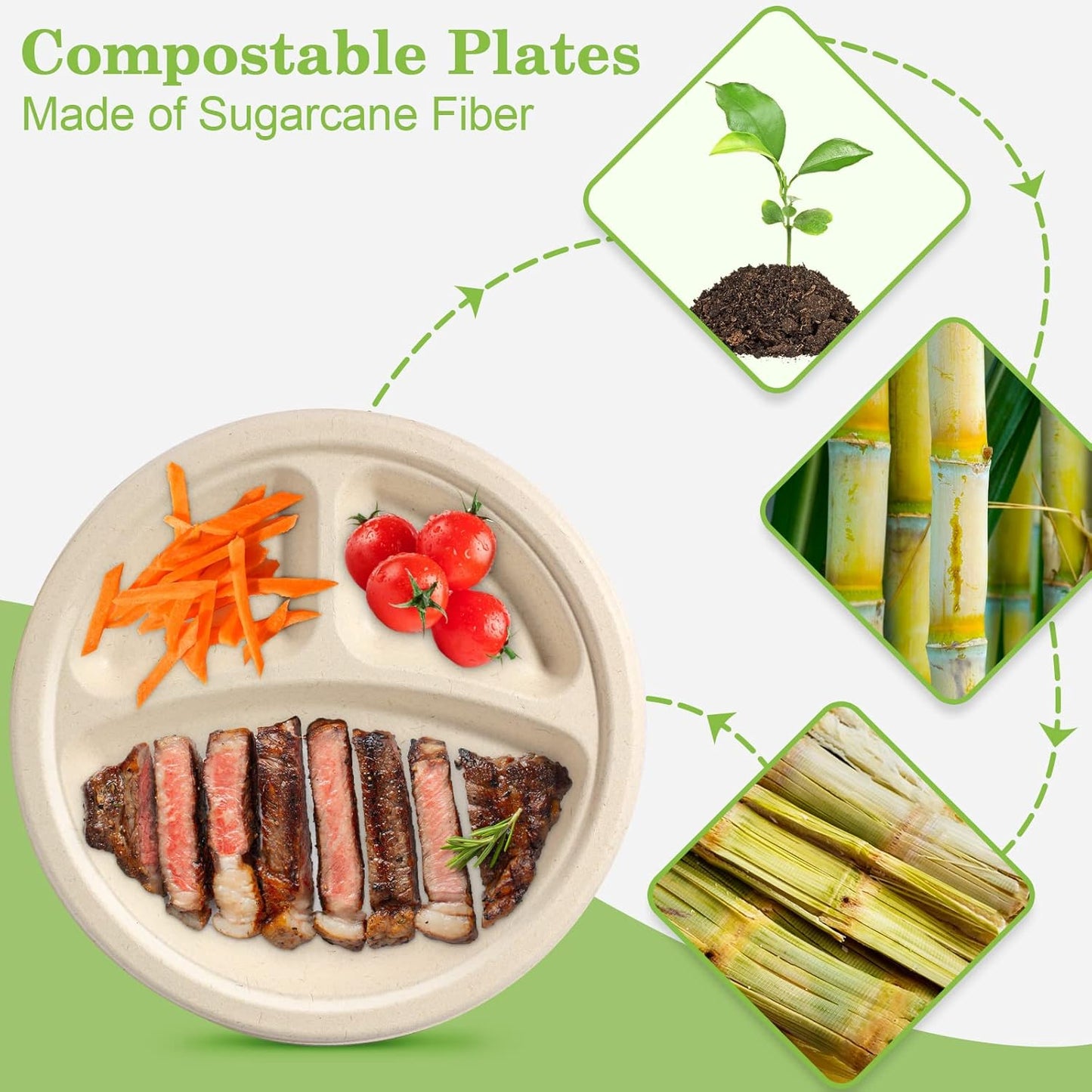 Compartment Plates - Disposable, 9 inch, 100 Pack, Biodegradable, Heavy Duty with Dividers