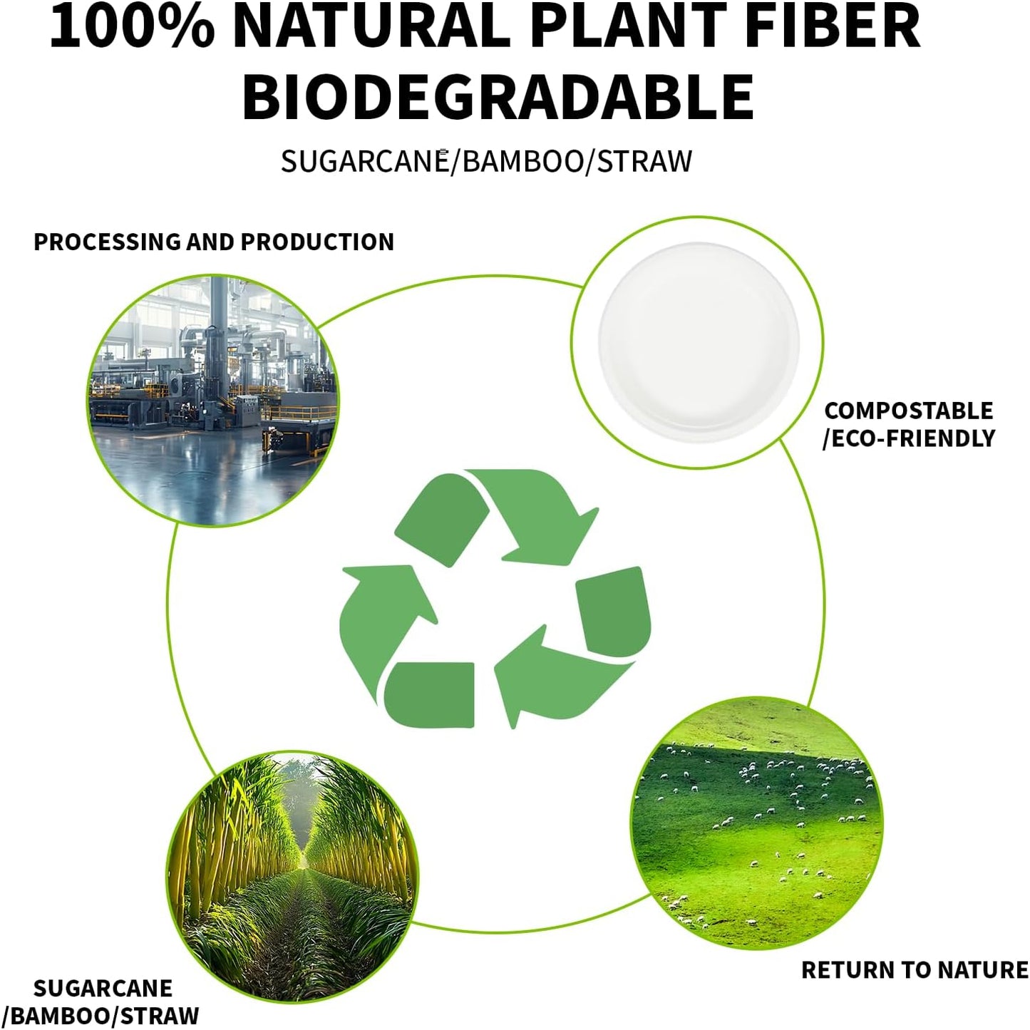 Compostable Paper Plates 9 Inch - 100% Biodegradable, Heavy Duty Eco-Friendly Disposable Plates for Camping，Parties, Weddings, BBQ (150 Pack) (9" Natural Brown)